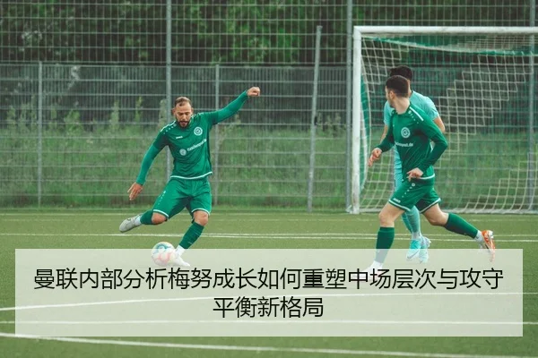 man-lian-nei-bu-fen-xi-mei-nu-cheng-zhang-ru-he-zhong-su-zhong-chang-ceng-ci-yu-gong-shou-ping-heng-xin-ge-ju-3-781.jpg