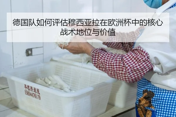 de-guo-dui-ru-he-ping-gu-mu-xi-ya-la-zai-ou-zhou-bei-zhong-de-he-xin-zhan-shu-di-wei-yu-jia-zhi-3-226.jpg