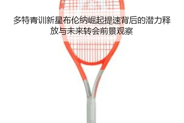 img_1780778474792_917_1_923.jpg